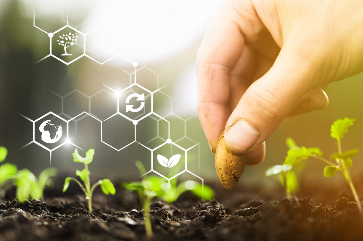Insumos agrícolas e responsabilidade socioambiental: explorando as certificações além da produção orgânica.